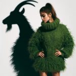 Garn, Handarbeit, Schatten Wollproduktion
